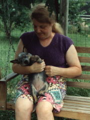 CH Briarmoor's After Hours HCT -- Chloe at 8 weeks